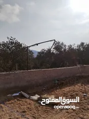  3 من أجمل قطع الرمان جميع الخدمات مشجرة