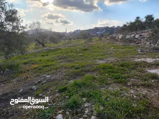  3 نمر600/800/760/1050 متر مربع