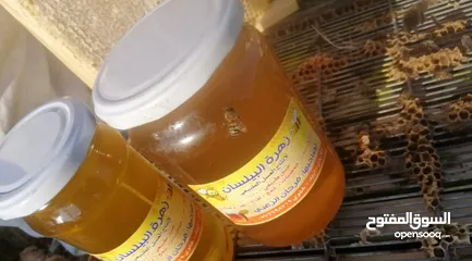  14 عسل طبيعي بلدي اصلي مضمون ومكفول 100٪؜ من مناحلنا
