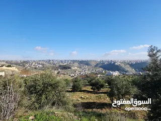 3 ارض مميزة 700 متر في ابو نعير ذات اطلاه عاليه على مسجد الحدائق وابراج السادس تبعد عن دوار الشعب 10د