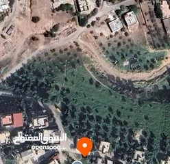  1 اراضي الاغوار الشماليه كريمه خمس دونمات 85000 والشره ما بقصر معه