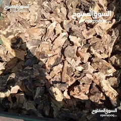  8 حطب زيتون زند وقرمي ناشف للبيع إن شاء الله