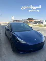  10 تيسلا 2021 بيرفومنس Tesla