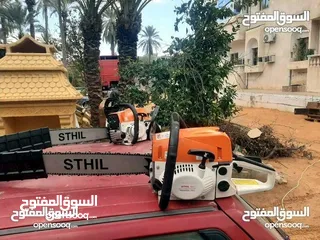  1 قص الاشجار وتنسيق الحدائق