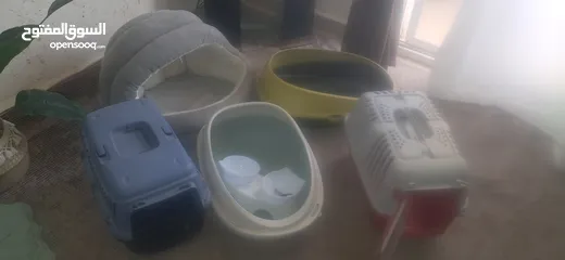  1 مستلزمات قطط للبيع بسعر حرق