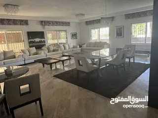  1 شقة ارضية طابقية بمساحة 399 متر2