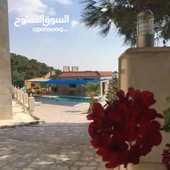  6 مزرعة و شاليه للبيع قرب منتزه زي مدينة السلط
