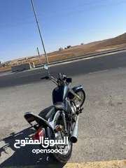  1 هارلي الجمل للبيع