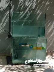  6 حوض سمك مع كامل معدادو