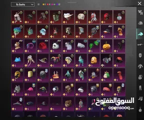  19 حساب ببجي للبيع وجه لوجه فقط