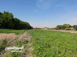  1 أرض للبيع 1050 م شميساني الغور منطقة فلل وشاليهات 7 نجوم راقية هادئة
