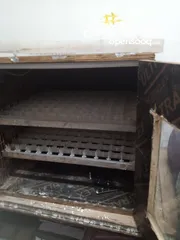  9 فقاسه بيض دجاج وفري