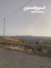  10 قطعه ارض مرتفعه ومطله منطقة شاليهات شرق جرش منطقة حميد  70 دنم سعر مغري جدا تصليح لمشروع استثماري