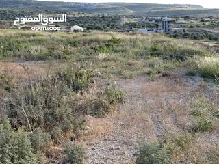  6 دونمين ارض طابوا فلسطنيني عاى الشارع الرئيسي مباشرة طولكرم الراس