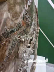  3 برواز ريزين كريستال فاخر حجم كبير
