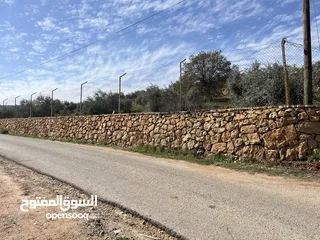  1 ارض مميزة تصلح لمزرعة او شاليه مقابل مطعم بيت شاكر والاسطبلات الملكية