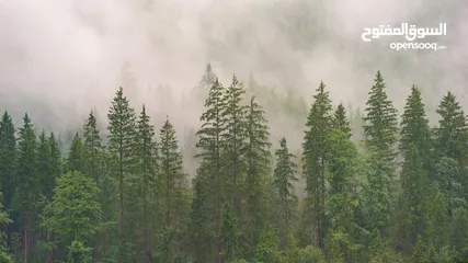  20 صور على الحائط (ستيكرز)