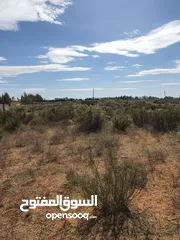  5 ارض مساحتها 2 هكتار و الف متر سوق السبت سيدي فرحات