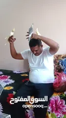  2 كوكاتيل اليفين جداا