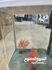  7 حوض سمك مستورد كيرف انارة لد و فلتر داخلي الطول 33سم العمق 20 سم ارتفاع 36 سم