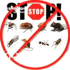  5 بدون روائح معالجة الحشرات مع ضمان يصل  10 سنوات (مساجد مجانا)