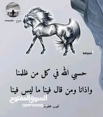  3 فرصة عظيمة