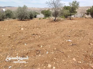  18 فرصه للشراء ارض مشجره جاهزه داخل التنظيم ومخدومه شارع معبد خدمات كامله ومطله