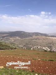  3 ارض محاطة بقصور شخصيات VIP، تصلح للسكن او المزارع والفلل والقصور بسعر منخفض جدا