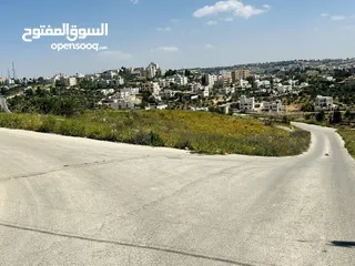  5 سوادة الجنوبي دونم 1000 م
