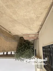  7 بيت مستقل مع ملحق