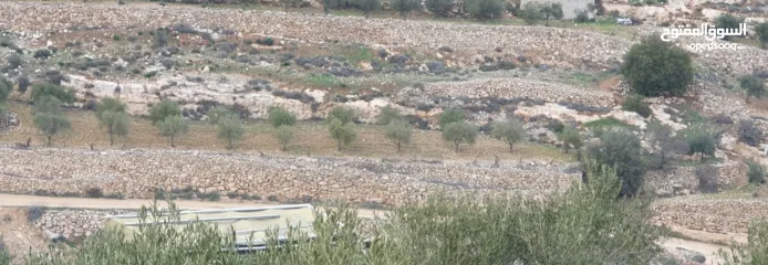  1 ارض للبيع (بسعر مغري)