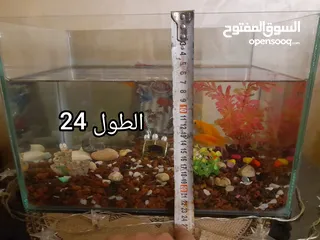  7 حوض سمك بسعر حرق اقرأ الوصف+عرض لفترة محدودة  بسعر حرق منافس للأخرين اقرأ الوصف