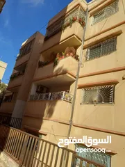 20 شقة للبيع في الزرقاء شبه طابق ارضي خمس درجات للطابق الاول موقع مميز، الله يطرح البركة لصاحب النصيب.