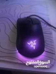  1 Mouse razor cobra synapse