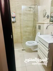  1 ضياء الشله