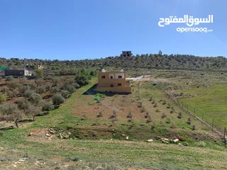  26 منزل ومزرعة للبيع في منطقة المريجمة-مادبا