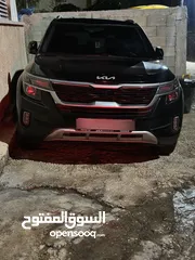 2 كايا سيلتوس