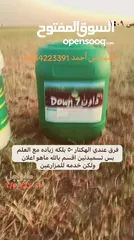  7 داون سفن مصنع سماد الشمال
