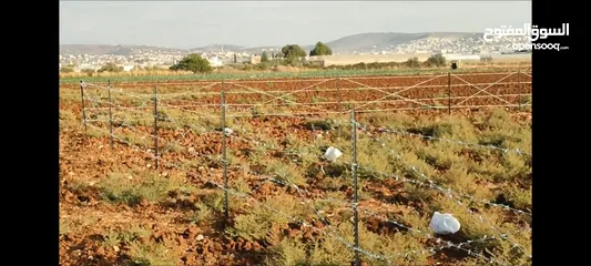  3 الظاهر لتسييج و تشيييك الاراضي الزراعية و التجارية