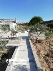  21 مزرعه للبيع