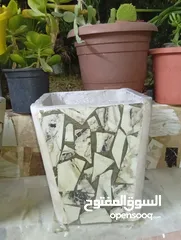  20 احواض زريعه اسمنتيه قابله للبدل على طيور