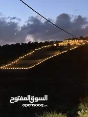  14 مزرعة مميزة في جرش مع بيت طابقين بسعر مميز للبيع