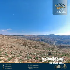  11 888 م2 في أعلى قمة في الكمشة قرب شارع الأردن