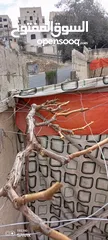  25 عنب للورق و الثمر تقليم