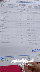  19 سبورتج 2023