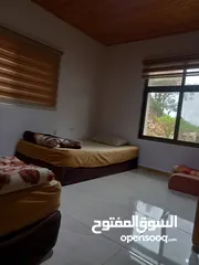  3 بيت مستقل للايجار اليومي في احلى موقع في عجلون