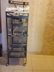  8 bird cage with birds for 20kd