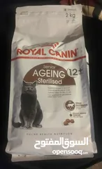  1 رويال كانين طعام جاف للقطط الكبيرة من سن 12 سنة او أكثر Royal canine sterilized 12+ senior