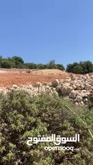  30 فرصة استثمارية! أرض زراعية مميزة بسعر مغري و بالقرب من أحراش الدولة للمزيد من المعلومات اقرأ الوصف