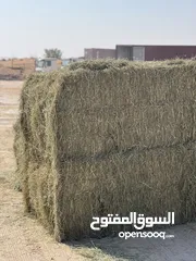  2 RHODES GRASS HAY